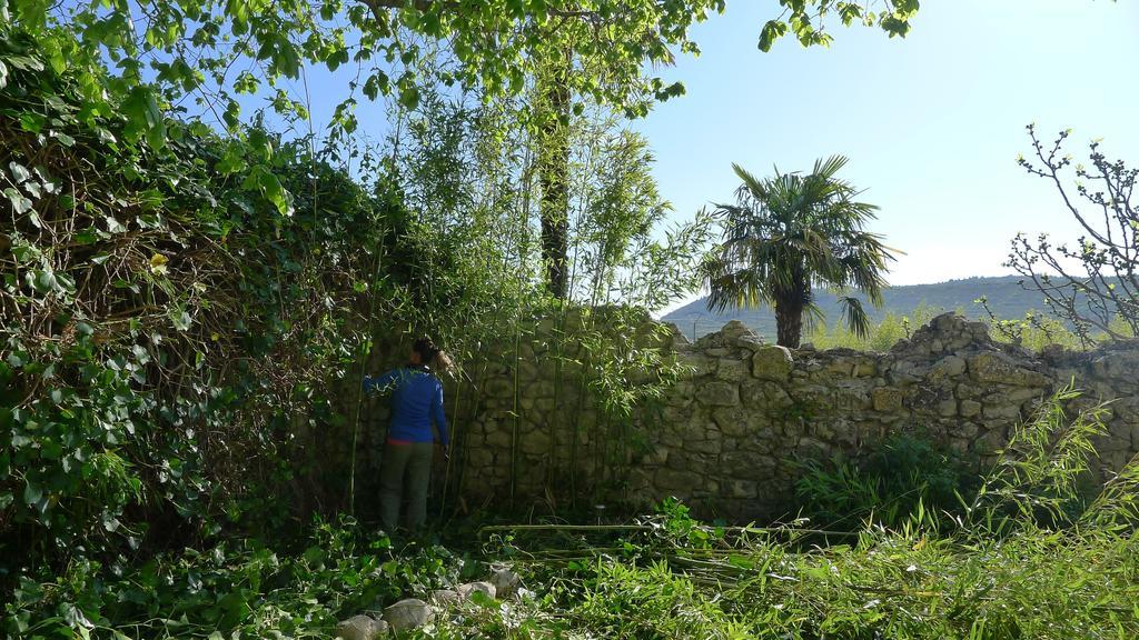 ホテル Domaine De La Manse ヴィルヌーヴ・ド・ベルグ エクステリア 写真