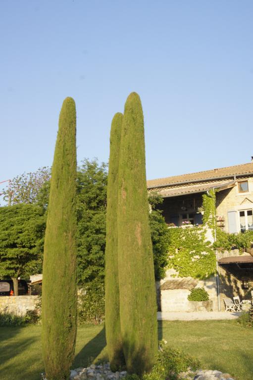 ホテル Domaine De La Manse ヴィルヌーヴ・ド・ベルグ エクステリア 写真