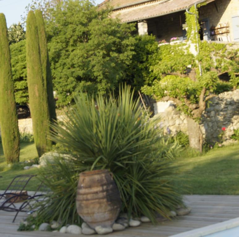 ホテル Domaine De La Manse ヴィルヌーヴ・ド・ベルグ エクステリア 写真