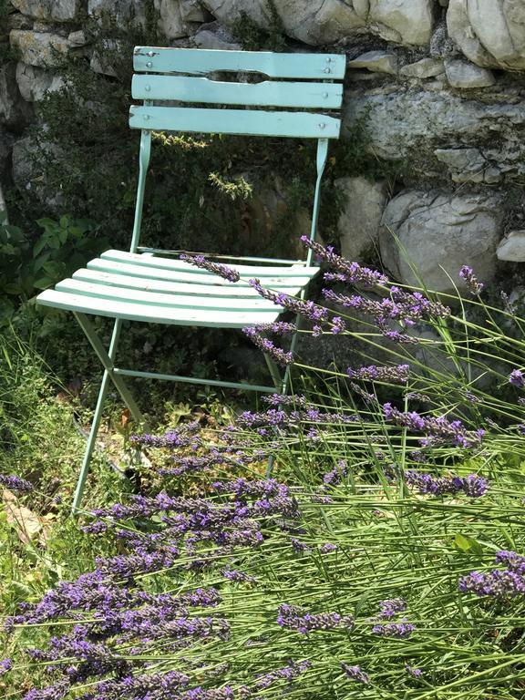 ホテル Domaine De La Manse ヴィルヌーヴ・ド・ベルグ エクステリア 写真